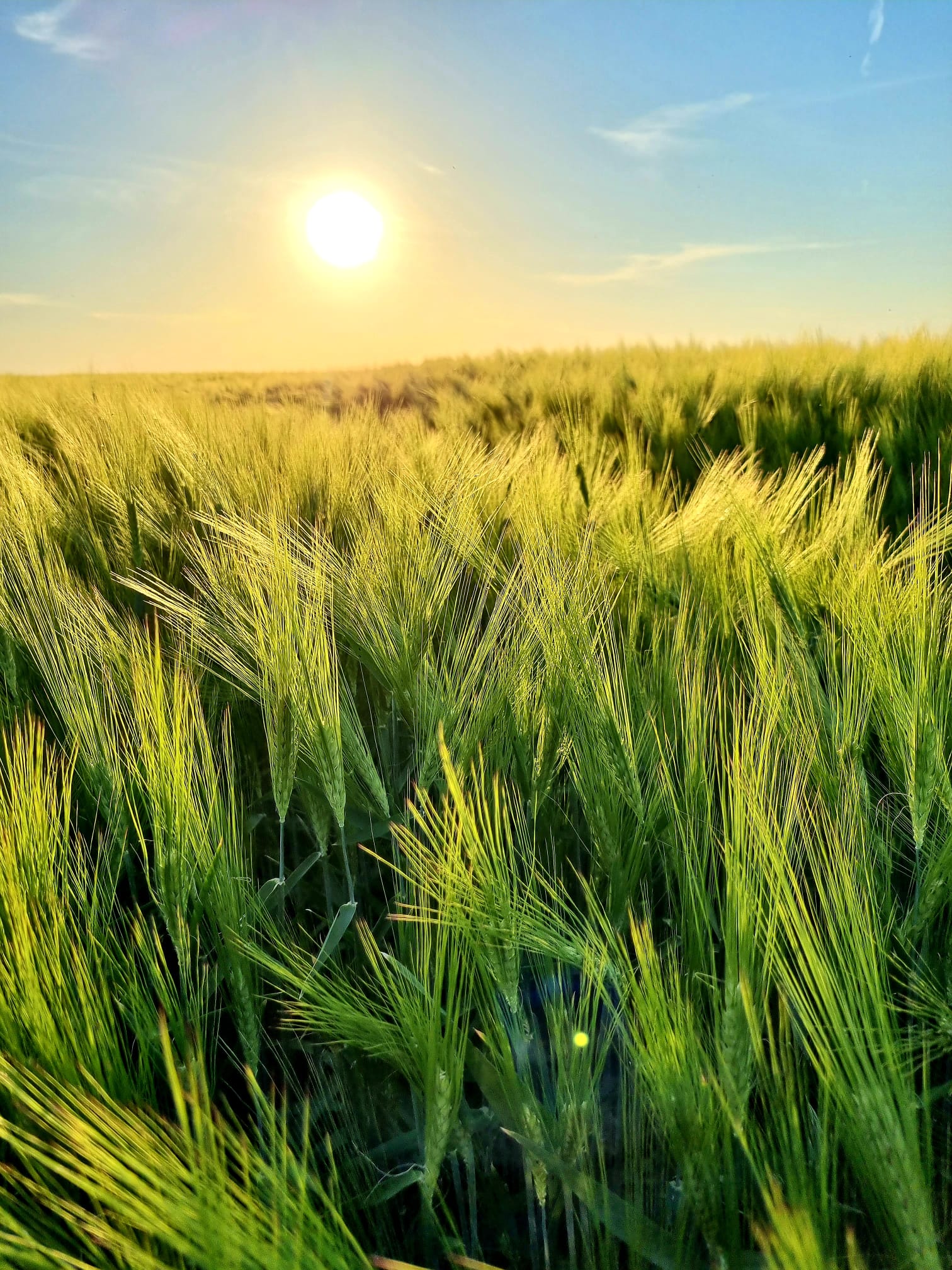 Designing a better cinema experience